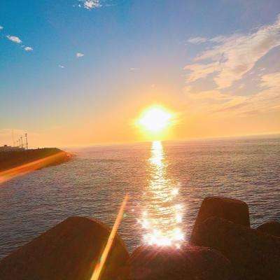 半岛bob·体育官方网站